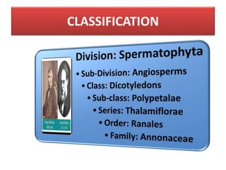 CLASSIFICATION
 
