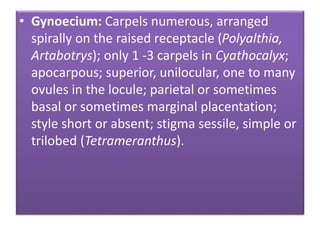 • Gynoecium: Carpels numerous, arranged
spirally on the raised receptacle (Polyalthia,
Artabotrys); only 1 -3 carpels in Cyathocalyx;
apocarpous; superior, unilocular, one to many
ovules in the locule; parietal or sometimes
basal or sometimes marginal placentation;
style short or absent; stigma sessile, simple or
trilobed (Tetrameranthus).
 