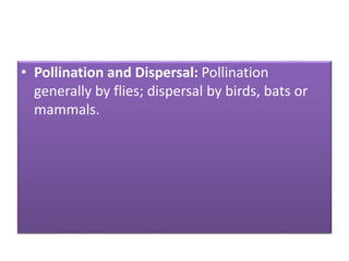 • Pollination and Dispersal: Pollination
generally by flies; dispersal by birds, bats or
mammals.
 