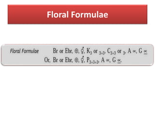 Floral Formulae
 