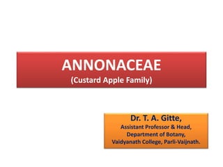 ANNONACEAE
(Custard Apple Family)
Dr. T. A. Gitte,
Assistant Professor & Head,
Department of Botany,
Vaidyanath College, Parli-Vaijnath.
 
