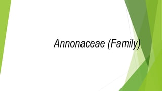 Annonaceae (Family)
 