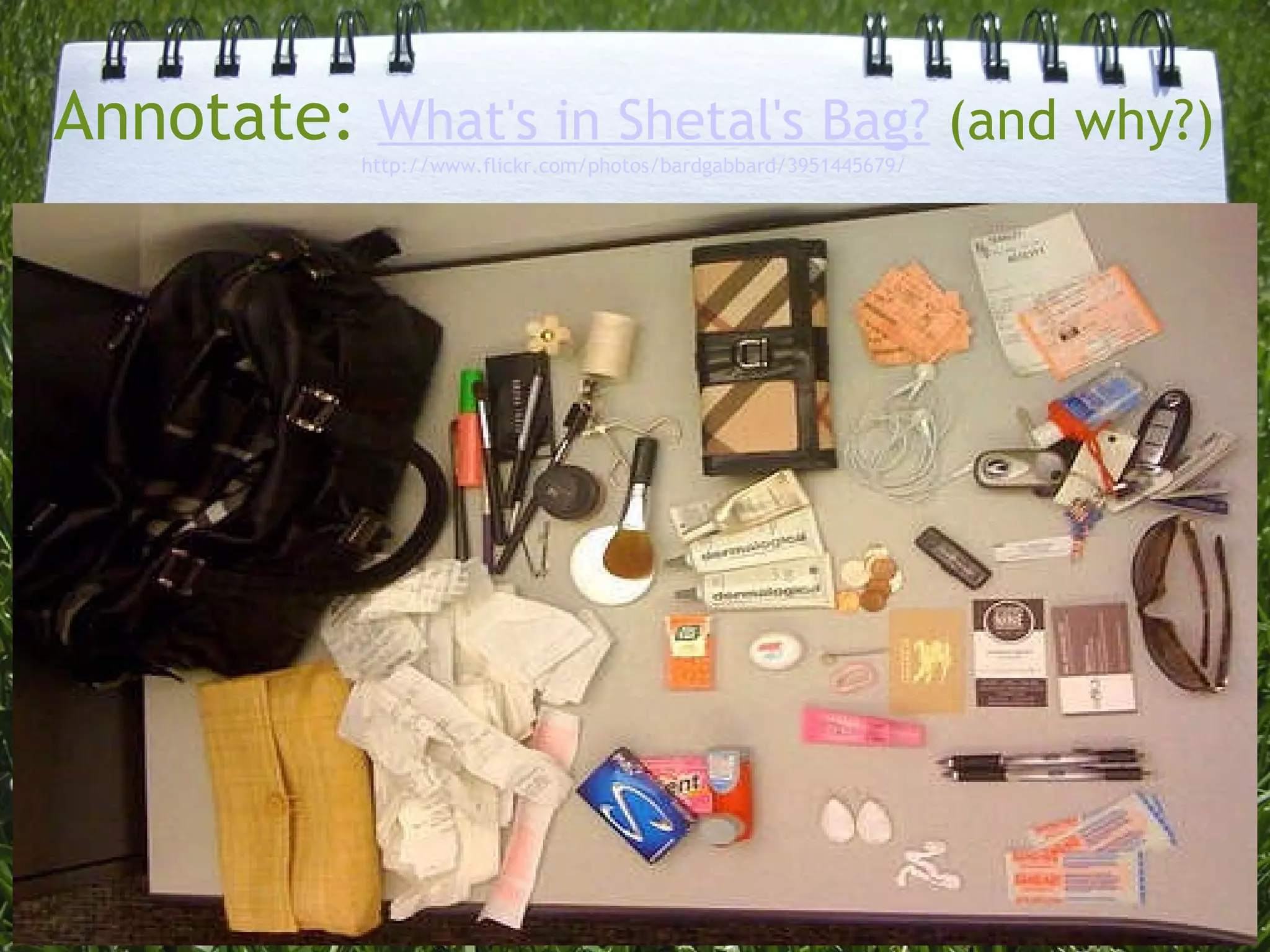 Annotate:  What's in Shetal's Bag?  (and why?) http://www.flickr.com/photos/bardgabbard/3951445679 / 