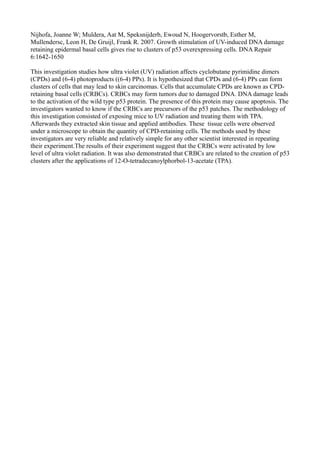 Nijhofa, Joanne W; Muldera, Aat M, Speksnijderb, Ewoud N, Hoogervorstb, Esther M,
Mullendersc, Leon H, De Gruijl, Frank R. 2007. Growth stimulation of UV-induced DNA damage
retaining epidermal basal cells gives rise to clusters of p53 overexpressing cells. DNA Repair
6:1642-1650

This investigation studies how ultra violet (UV) radiation affects cyclobutane pyrimidine dimers
(CPDs) and (6-4) photoproducts ((6-4) PPs). It is hypothesized that CPDs and (6-4) PPs can form
clusters of cells that may lead to skin carcinomas. Cells that accumulate CPDs are known as CPD-
retaining basal cells (CRBCs). CRBCs may form tumors due to damaged DNA. DNA damage leads
to the activation of the wild type p53 protein. The presence of this protein may cause apoptosis. The
investigators wanted to know if the CRBCs are precursors of the p53 patches. The methodology of
this investigation consisted of exposing mice to UV radiation and treating them with TPA.
Afterwards they extracted skin tissue and applied antibodies. These tissue cells were observed
under a microscope to obtain the quantity of CPD-retaining cells. The methods used by these
investigators are very reliable and relatively simple for any other scientist interested in repeating
their experiment.The results of their experiment suggest that the CRBCs were activated by low
level of ultra violet radiation. It was also demonstrated that CRBCs are related to the creation of p53
clusters after the applications of 12-O-tetradecanoylphorbol-13-acetate (TPA).
 