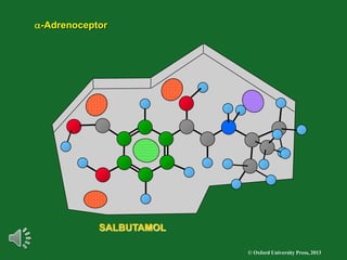 © Oxford University Press, 2013
a-Adrenoceptor
SALBUTAMOL
 