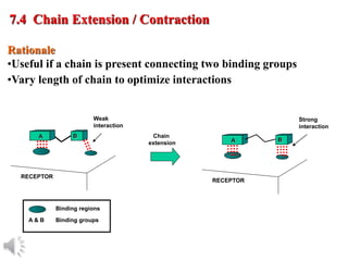 © Oxford University Press, 2013
Rationale
•Useful if a chain is present connecting two binding groups
•Vary length of chain to optimize interactions
7.4 Chain Extension / Contraction
RECEPTOR
A B
A B
RECEPTOR
Binding regions
Binding groups
A & B
Weak
interaction
Strong
interaction
Chain
extension
 