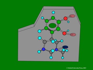 © Oxford University Press, 2013
 