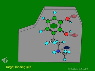 © Oxford University Press, 2013
Target binding site
 