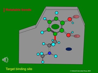 © Oxford University Press, 2013
Target binding site
Rotatable bonds
 
