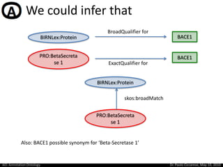We could infer that<br />BroadQualifier for<br />BACE1<br />BIRNLex:Protein<br />PRO:BetaSecretase 1<br />BACE1<br />Exact...