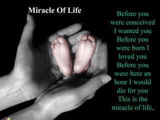 Before you were conceived I wanted you Before you were born I loved you Before you were here an hour I would die for you This is the miracle of life . M Miracle Of Life 