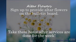 Photo by Rodion Kutsaev on Unsplash
.
Altar Flowers
Sign up to provide altar flowers
on the bulletin board.
Take them home after services are
done for the week!
 