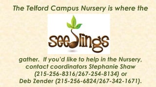 The Telford Campus Nursery is where the

gather. If you’d like to help in the Nursery,
contact coordinators Stephanie Shaw
(215-256-8316/267-254-8134) or
Deb Zender (215-256-6824/267-342-1671).

 