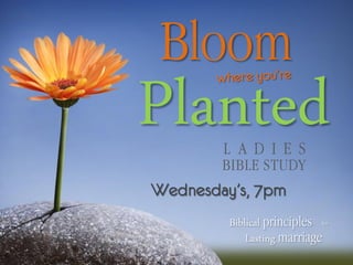 Bloom
Planted L A D I E S
        BIBLE STUDY
Wednesday’s, 7pm
         Biblical principles for
             Lasting marriage
 