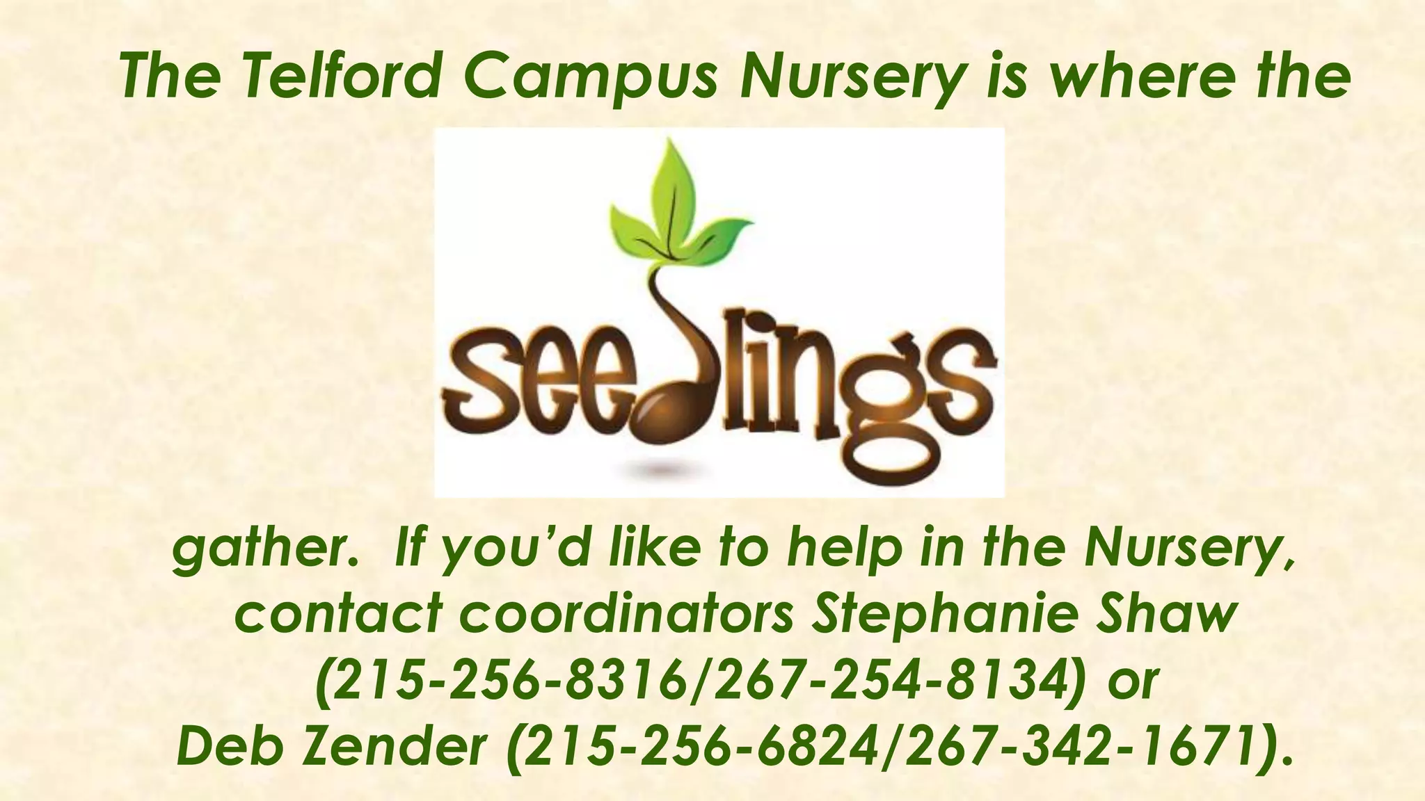 The Telford Campus Nursery is where the
gather. If you’d like to help in the Nursery,
contact coordinators Stephanie Shaw
(215-256-8316/267-254-8134) or
Deb Zender (215-256-6824/267-342-1671).