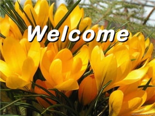WelcomeWelcome
 