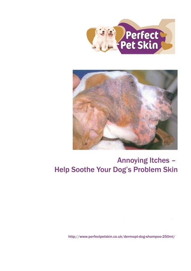 Annoying itches help soothe your dog’s problem skin