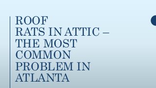 ROOF
RATS IN ATTIC –
THE MOST
COMMON
PROBLEM IN
ATLANTA
 