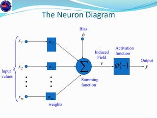 The Neuron Diagram
Input
values
weights
Summing
function
Bias
b
Activation
functionInduced
Field
v
Output
y
x1
x2
xm
w2
wm
w1
 
 )(
 