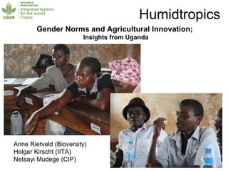 Gender Norms and Agricultural Innovation;
Insights from Uganda
Humidtropics
Anne Rietveld (Bioversity)
Holger Kirscht (IITA)
Netsayi Mudege (CIP)
 