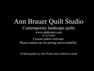 Ann Brauer Quilt Studio Contemporary landscape quilts www.annbrauer.com 413 625-8605 Custom orders welcome. Please contact me for pricing and availability. All photographs by John Polak unless otherwise noted. 