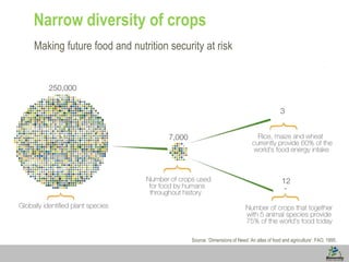 Narrow diversity of crops
Making future food and nutrition security at risk

Source: ‘Dimensions of Need: An atlas of food and agriculture’. FAO, 1995.
1

 