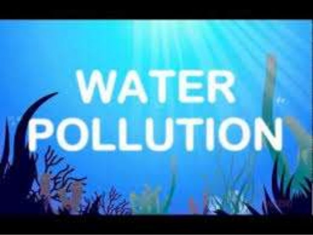 Write an essay about water pollution using cause and effect order