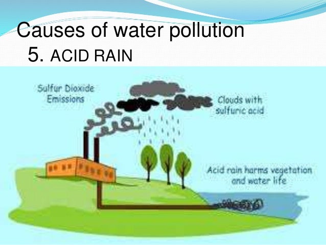 Water Pollution Diagram