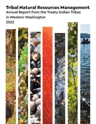 Annual Report from the Treaty Indian Tribes
in Western Washington
2022
Tribal Natural Resources Management
 