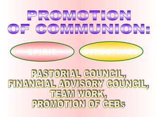 PROMOTION  OF COMMUNION: SPIRIT STRUCTURES PASTORIAL COUNCIL, FINANCIAL ADVISORY COUNCIL, TEAM WORK, PROMOTION OF CEBs 