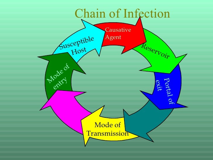 Reservoir Chain Of Infection Examples