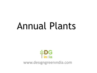 Annual Plants

www.designgreenindia.com

 