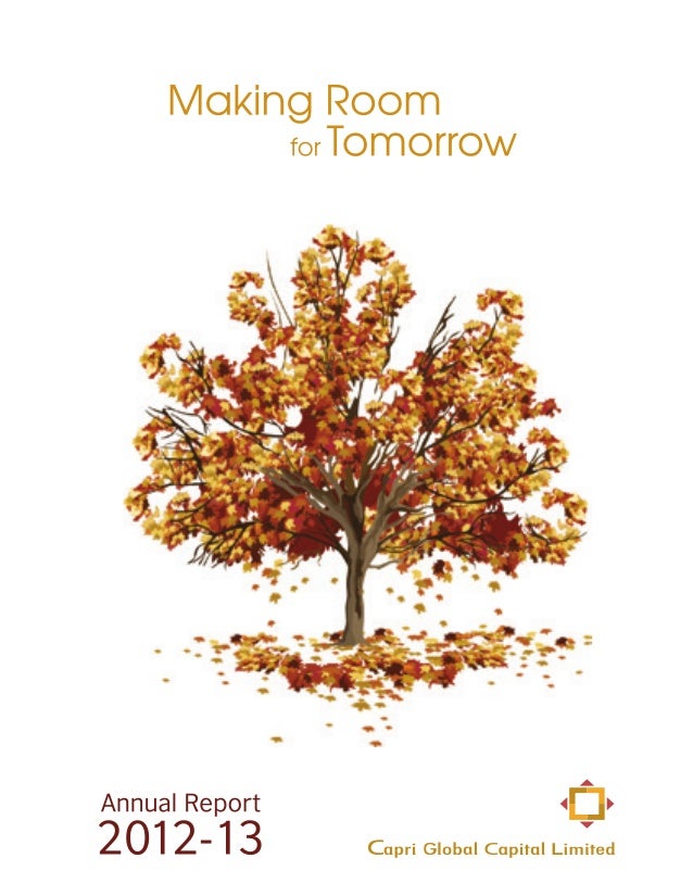 Annual Report 2013 Capri Global Capital Ltd