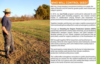 ENVIRONMENT
RAFI has a long-standing commitment and focus on seeds, the
rights of farmers and the need for greater public seed choices and
support systems.
In 2013, our Just Foods program continued to advocate for and
expand public plant breeding programs. Our mission remains
rooted in collaboration among farmers and researchers to
protectandenhancetheavailablegermplasmfororganicproducers.
Together, breeders and farmers can make a realistic assessment of
hownewbreedinglineswillperformunderactualorganicconditions.
Through our Breeding for Organic Production Systems (BOPS)
partnership with North Carolina State University, we are facilitating
collaboration between organic farmers and plant breeders to
develop varieties of corn, wheat, soybeans and peanuts that are
particularly suited for organic production in the Southeastern US.
RAFI brought together NCSU researchers and local farmers to
develop criteria for what organic farmers were looking for, assisted
with variety screening, and in 2013 held on-farm variety trials in
soybeans and wheat.
This participatory model allows for the farmer to help determine
what crop varieties work best for their climate conditions,
production methods and business model.
This unified effort strengthens innovation in public plant breeding,
enhancing our mission for the resilient biodiversity of seeds and
breeds for the 21st century and a fair market that keeps control of
seeds in the hands of farmers and communities.
Who will control seed?
 