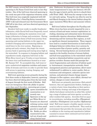 WRIA 10: PUYALLUP/WHITE RIVER WATERSHED


the 2007 season, several bull trout were observed          gins. Embryonic development is slow (depending on
spawning in No Name Creek from early to late Sep-          water temperatures); it may take between 165-235
tember. One of the bull trout observed spawning in         days for eggs to hatch and for alevin to absorb their
the creek was part of the migration telemetry study.       yolk (Pratt 1992). Bull trout fry emerge in late win-
This bull trout was surgically implanted with LO-          ter and early spring. Young fry can often be seen by
TEK Wireless Inc.’s NanoTag Series transmitters            mid March foraging in the lateral habitat along the
(NTC-4-2L) and released near the Greenwater River          upper mainstem White River and associate tributa-
(RM 45) in late June, and was observed spawning in         ries.
late September.                                                Bull trout habitat throughout the Puyallup and
    Resident bull trout reside in smaller headwater        White rivers has been severely impacted by over a
tributaries, while fluvial bull trout frequently travel    century of land and water resource exploitation; in-
long distances; utilizing the mainstem rivers and          cluding, damming and substantial water diversions,
larger tributaries to forage and overwinter. During        considerable riparian alterations (deforestation),
the fall, migratory forms of bull trout journey from       dewatering and low instream flow regimes, as well
spawning and rearing habitats in the upper wa-             as significant channel manipulation. These impacts
tershed to foraging and overwintering habitats lo-         have lead to a marked deterioration in land and hy-
cated lower in the river system. Beginning in              drological behavior within these river systems by
spring and early summer, they begin the return             causing water flow of poorer quality, quantity and
journey back to spawning and rearing areas high in         timing. Several limiting factors are involved with
the watershed. In response to changing habitat and         regards to the healthy function of stream habitat
reproductive needs, migratory bull trout in the            and bull trout populations in the watershed; includ-
White River travel up to 75 miles or more between          ing lost or diminished habitat connectivity and mi-
the lower river and headwaters located in or near          gration corridors (human-made fish passage bar-
Mt. Rainier N.P. To accomplish this, bull trout re-        riers), fragmentation and reduction of habitat quali-
quire unobstructed migration corridors and connec-         ty (entrainment, transportation networks, forest
tivity of streams and rivers in order to provide them      management practices and operations, direct water
with access to spawning, rearing, foraging, and            withdrawal); in addition to, water quality, fish en-
overwintering habitats.                                    trainment and entrapment, unknown species inte-
    Bull trout spawning occurs primarily during the        ractions, and potential climate change impacts
first three weeks in September, however, spawning          (changes in flow regimes, scour effects, thermal var-
has been observed taking place from the last week          iations, changes in water chemistry).
of August through the first week of October. Bull             Bull trout are primarily piscivorous (fish eaters);
trout are iteroparous (have the ability to spawn           however, they are opportunistic feeders, feeding on
more than once); therefore, recovering pre-or-post         a variety of prey items depending on their particu-
                                 spawn mortalities for     lar life history strategy and stage of development.
                                 examination is ex-        Adults feed almost exclusively on other fish, includ-
                                 tremely rare.             ing a range of salmon and trout species; as well as
                                 Spawners in the up-       other resident fish species. Juveniles feed on aqua-
                                 per White River tri-      tic invertebrates, including stoneflies (Plecoptera),
                                 butaries are observed     caddisflies (Trichoptera), and mayflies (Ephemerop-
                                 utilizing various sized   tera). Bull trout require a healthy aquatic environ-
                                 substrate from small      ment in order to survive and flourish. They need an
                                 gravels to small cob-     environment that provides the necessary prey base;
                                 ble. Redds are often      in addition to the rearing and reproductive habitat
                                 constructed in the        essential to ensure their continued survival and re-
   Lower No Name Creek           tail-out of pools and     productive success.
                                 along channel mar-
PUYALLUP TRIBAL FISHERIES
2009-2010 ANNUAL SALMON, STEELHEAD, AND BULL TROUT REPORT                                                 Page 104
 
