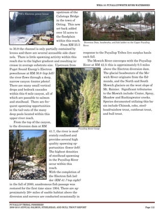 WRIA 10: PUYALLUP/WHITE RIVER WATERSHED


                                    upstream of the
      PSE’s Electron power house
                                    Calistoga Bridge
                                    in the town of
                                    Orting. This new
                                    set-back added
                                    over 55 acres to
                                    the floodplain
                                    within this reach.
                                                        Diversion Dam, headworks, and fish ladder on the Upper Puyallup
                                       From RM 25.5 River.
to 30.8 the channel is only partially contained by
levees and there are several accessible side chan-     response to the Puyallup Tribes live surplus hauls
nels. There is little spawning activity within this    each fall.
reach due to the higher gradient and resulting in-         The Mowich River converges with the Puyallup
crease in average substrate size. Upstream from        River at RM 42.3; this is approximately 0.5 miles
Puget Sound Energy’s Electron                                             above the Electron diversion dam.
powerhouse at RM 30.8 (top left)                                          The glacial headwaters of the Mo-
the river flows through a deep,                                           wich River originate from the Ed-
narrow canyon (center photo).                                             munds, and the North and South
There are many small vertical                                             Mowich glaciers on the west slope of
drops and bedrock cascades                                                Mt. Rainier. Significant tributaries
within this 6 mile canyon, all of                                         to the Mowich include; Crater, Spray,
which are passable to salmon                                              Meadow and Rushingwater creeks.
and steelhead. There are fre-                                             Species documented utilizing this ba-
quent spawning opportunities                                              sin include Chinook, coho, steel-
in the tail-outs of the many                                              head/rainbow trout, cutthroat trout,
deep pools located within this                                            and bull trout.
upper river reach.
    From the top of the canyon,
to the diversion dam at RM
                                                        Puyallup River Gorge
                               41.7, the river is mod-
                               erately confined and
                               provides several high
                               quality spawning op-
                               portunities (lower left).
                               The highest densities
                               of steelhead spawning
                               in the Puyallup River
                               occur within this
                               reach.
                               With the completion of
                               the Electron fish lad-
                               der (RM 41.7-top right)
in the fall of 2000, anadromous fish passage was
restored for the first time since 1904. There are ap-
proximately 26+ miles of usable habitat above the
diversion and surveys are conducted occasionally in

PUYALLUP TRIBAL FISHERIES
2009-2010 ANNUAL SALMON, STEELHEAD, AND BULL TROUT REPORT                                                      Page 112
 