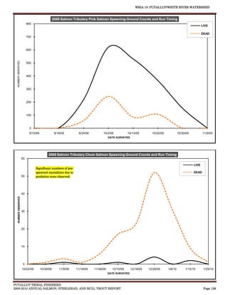 WRIA 10: PUYALLUP/WHITE RIVER WATERSHED


                                                2009 Salmon Tributary Pink Salmon Spawning Ground Counts and Run Timing
                          800
                                                                                                                                                       LIVE

                                                                                                                                                       DEAD
                          700



                          600
  NUMBER OBSERVED




                          500



                          400



                          300



                          200



                          100



                           0
                           9/10/09               9/16/09       9/24/09         10/2/09           10/13/09        10/22/09            10/30/09          11/9/09
                                                                                    DATE SURVEYED




                                          2009 Salmon Tributary Chum Salmon Spawning Ground Counts and Run Timing
                     60

                                                                                                                                                LIVE
                                Significant numbers of pre-
                                spawned mortalities due to                                                                                      DEAD
                     50         predation were observed.




                     40
   NUMBER OBSERVED




                     30




                     20




                     10




                      0
                     10/22/09        10/30/09       11/9/09   11/18/09   11/30/09     12/10/09      12/18/09   12/29/09     1/6/10        1/15/10       1/25/10
                                                                                    DATE SURVEYED



PUYALLUP TRIBAL FISHERIES
2009-2010 ANNUAL SALMON, STEELHEAD, AND BULL TROUT REPORT                                                                                               Page 126
 