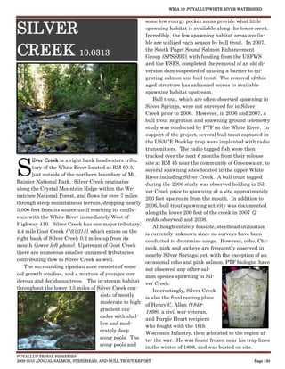 WRIA 10: PUYALLUP/WHITE RIVER WATERSHED


                                                      some low energy pocket areas provide what little

SILVER                                                spawning habitat is available along the lower creek.
                                                      Incredibly, the few spawning habitat areas availa-
                                                      ble are utilized each season by bull trout. In 2007,

CREEK 10.0313                                         the South Puget Sound Salmon Enhancement
                                                      Group (SPSSEG), with funding from the USFWS
                                                      and the USFS, completed the removal of an old di-
                                                      version dam suspected of causing a barrier to mi-
                                                      grating salmon and bull trout. The removal of this
                                                      aged structure has enhanced access to available
                                                      spawning habitat upstream.
                                                          Bull trout, which are often observed spawning in
                                                      Silver Springs, were not surveyed for in Silver
                                                      Creek prior to 2006. However, in 2006 and 2007, a
                                                      bull trout migration and spawning ground telemetry
                                                      study was conducted by PTF on the White River. In
                                                      support of the project, several bull trout captured in
                                                      the USACE Buckley trap were implanted with radio
                                                      transmitters. The radio tagged fish were then



S
                                                      tracked over the next 6 months from their release
       ilver Creek is a right bank headwaters tribu-
                                                      site at RM 45 near the community of Greenwater, to
       tary of the White River located at RM 60.5,
                                                      several spawning sites located in the upper White
       just outside of the northern boundary of Mt.
                                                      River including Silver Creek. A bull trout tagged
Rainier National Park. Silver Creek originates
                                                      during the 2006 study was observed holding in Sil-
along the Crystal Mountain Ridge within the We-
                                                      ver Creek prior to spawning at a site approximately
natchee National Forest, and flows for over 7 miles
                                                      200 feet upstream from the mouth. In addition to
through steep mountainous terrain, dropping nearly
                                                      2006, bull trout spawning activity was documented
3,000 feet from its source until reaching its conflu-
                                                      along the lower 200 feet of the creek in 2007 (2
ence with the White River immediately West of
                                                      redds observed) and 2008.
Highway 410. Silver Creek has one major tributary;
                                                          Although entirely feasible, steelhead utilization
4.4 mile Goat Creek (10.0314), which enters on the
                                                      is currently unknown since no surveys have been
right bank of Silver Creek 0.2 miles up from its
                                                      conducted to determine usage. However, coho, Chi-
mouth (lower left photo). Upstream of Goat Creek
                                                      nook, pink and sockeye are frequently observed in
there are numerous smaller unnamed tributaries
                                                      nearby Silver Springs; yet, with the exception of an
contributing flow to Silver Creek as well.
                                                      occasional coho and pink salmon, PTF biologist have
    The surrounding riparian zone consists of some
                                                      not observed any other sal-
old growth conifers, and a mixture of younger con-
                                                      mon species spawning in Sil-
iferous and deciduous trees. The in-stream habitat
                                                      ver Creek.
throughout the lower 0.5 miles of Silver Creek con-
                                                          Interestingly, Silver Creek
                                     sists of mostly
                                                      is also the final resting place
                                     moderate to high
                                                      of Henry C. Allen (1848-
                                     gradient cas-
                                                      1898), a civil war veteran,
                                     cades with shal-
                                                      and Purple Heart recipient
                                     low and mod-
                                                      who fought with the 16th
                                     erately deep
                                                      Wisconsin Infantry, then relocated to the region af-
                                     scour pools. The
                                                      ter the war. He was found frozen near his trap lines
                                     scour pools and
                                                      in the winter of 1898, and was buried on site.
PUYALLUP TRIBAL FISHERIES
2009-2010 ANNUAL SALMON, STEELHEAD, AND BULL TROUT REPORT                                            Page 130
 