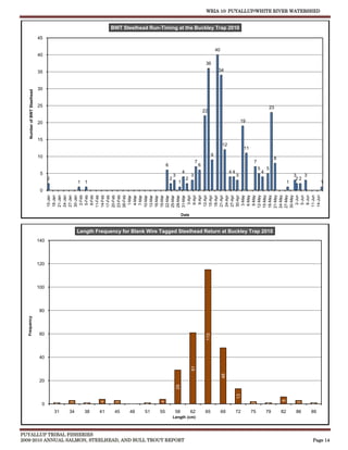 WRIA 10: PUYALLUP/WHITE RIVER WATERSHED


                                                                BWT Steelhead Run-Timing at the Buckley Trap 2010
                              45

                                                                                                                                       40
                              40
                                                                                                                             36
                              35                                                                                                        34



                              30
    Number of BWT Steelhead




                              25                                                                                                                                              23
                                                                                                                            22

                              20                                                                                                                          19



                              15
                                                                                                                                            12
                                                                                                                                                           11
                              10                                                                                                   9
                                                                                                                                                                                  8
                                                                                                                    7                                            7
                                                                                       6                                6
                                                                                                                                                                     5       5
                               5                                                                        4                                        44                      4
                                                                                               3                3                                     3                                        3   3
                                    2                                                      2                2                                                                                   22
                                                  1   1                                             1                                                                                      1                1
                               0




                                    12-May
                                    15-May
                                    18-May
                                    21-May
                                    24-May
                                    27-May
                                    30-May
                                      2-Jun
                                      5-Jun
                                      8-Jun
                                    15-Jan
                                    18-Jan
                                    21-Jan
                                    24-Jan
                                    27-Jan
                                    30-Jan
                                      2-Feb
                                      5-Feb
                                      8-Feb




                                    11-Jun
                                    14-Jun
                                    11-Feb
                                    14-Feb
                                    17-Feb
                                    20-Feb
                                    23-Feb
                                    26-Feb




                                      3-Apr
                                      6-Apr
                                      9-Apr




                                     3-May
                                     6-May
                                     9-May
                                     12-Apr
                                     15-Apr
                                     18-Apr
                                     21-Apr
                                     24-Apr
                                     27-Apr
                                     30-Apr
                                      1-Mar
                                      4-Mar
                                      7-Mar
                                    10-Mar
                                    13-Mar
                                    16-Mar
                                    19-Mar
                                    22-Mar
                                    25-Mar
                                    28-Mar
                                    31-Mar




                                                                                                        Date



                                                  Length Frequency for Blank Wire Tagged Steelhead Return at Buckley Trap 2010
                              140




                              120




                              100




                              80
  Frequency




                              60
                                                                                                                             115




                              40
                                                                                                                61




                                                                                                                                            48




                              20
                                                                                                   29




                                                                                                                                                      13




                                                                                                                                                                                      6
                                                           4




                                                                                   4
                                             3




                                                                 3




                                                                                                                                                                                                3
                                                                                                                                                                2
                                        1




                                                      1




                                                                             1




                                                                                                                                                                             1




                                                                                                                                                                                                       1




                                0
                                                                       0




                                        31   34       38   41    45    48   51    55            58              62           65             69        72        75           79       82       86      89
                                                                                               Length (cm)



PUYALLUP TRIBAL FISHERIES
2009-2010 ANNUAL SALMON, STEELHEAD, AND BULL TROUT REPORT                                                                                                                                              Page 14
 