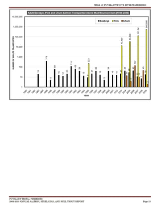 WRIA 10: PUYALLUP/WHITE RIVER WATERSHED


                                           Adult Sockeye, Pink and Chum Salmon Transported Above Mud Mountain Dam (1980-2009)
  10,000,000

                                                                                                                            Sockeye            Pink            Chum




                                                                                                                                                                                                     540,590
           1,000,000




                                                                                                                                                                                     127,541
                                                                                                                                                                     33,346
                                 100,000
  NUMBER OF ADULTS TRANSPORTED




                                                                                                                                                      13,190
                                  10,000



                                   1,000
                                                         378




                                                                                                            223




                                                                                                                                                                               137
                                                                                       114
                                                                                             63
                                                                   59




                                    100




                                                                                                                                                                                               45
                                                                                                                                                                              43
                                                                                                                                                               41
                                                                                                  39




                                                                                                                       39




                                                                                                                                     39




                                                                                                                                                                     28
                                                                                                                  21




                                                                                                                                                      21
                                                                                  20
                                                  19




                                                                                                                                                                                                    18
                                                                                                                            16




                                                                                                                                          16
                                                                        15




                                                                                                                                                15



                                                                                                                                                                14
                                                                                                       13
                                                                             12




                                                                                                                                                                                     11
                                                                                                                                                                                     10
                                                                                                            9




                                                                                                                                                                                               7
                                     10
                                                               5




                                                                                                                                 5




                                                                                                                                                                       4




                                                                                                                                                                                                        2
                                      1



                                                                                                        YEAR




PUYALLUP TRIBAL FISHERIES
2009-2010 ANNUAL SALMON, STEELHEAD, AND BULL TROUT REPORT                                                                                                                                          Page 15
 