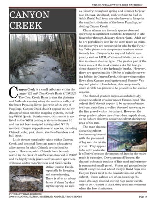 WRIA 10: PUYALLUP/WHITE RIVER WATERSHED


                                                      as coho fry throughout spring and summer for juve-

CANYON                                                nile Chinook, steelhead, and cutthroat to feed on.
                                                      Adult fluvial bull trout are also known to forage in


CREEK
                                                      the smaller tributaries of the lower Puyallup, in-
                                                      cluding Canyon Creek.
                                                          Chum salmon are the only species observed
                                                      spawning in significant numbers; beginning in late
                                                      November through January (lower right). Adult co-
                                                      ho are periodically seen in the same reach as chum,
                                                      but no surveys are conducted for coho by the Puyal-
                                                      lup Tribe given their escapement numbers are ex-
                                                      tremely low. Canyon lacks any real habitat com-
                                                      plexity such as LWD, off channel habitat, or varia-
                                                      tion in stream channel type. The greater part of the
                                                      lower reach of the creek consists of a flat low gra-
                                                      dient channel with few hydraulic breaks. However,
                                                      there are approximately 450 feet of suitable spawn-
                                                      ing habitat in Canyon Creek, this spawning section
                                                      flows along Canyon road upstream of Pioneer Way
                                                      (top left photo). Nonetheless, this exceptionally



C        anyon Creek is a small tributary within the  small stretch has proven to be productive for several
                                                      seasons.
         larger 12.1 mi2 Clear Creek Basin (10.0022).
         The Clear Creek Basin drains the plateaus        The channel gradient increases substantially
and flatlands running along the southern valley of    above the culvert crossing under Canyon Road. The
                                                      culvert itself doesn’t appear to be an encumbrance
the lower Puyallup River, just west of the city of
Puyallup. Canyon Creek doesn’t appear on the hy-      to chum, since they are often observed spawning on
                                                      the fine gravel within the culvert. However, the
drology of most common mapping systems, includ-
                                                      steep gradient above the culvert does impede chum,
ing USGS Quads. Furthermore, this stream is not
listed in the WRIA catalog of streams for area 10     as no fish are observed above the culvert during the
                                                      peak of the run.
and has not been assigned a designated WRIA
                                                          The main channel
number. Canyon supports several species, including
Chinook, coho, pink, chum, steelhead/rainbow and      above the culvert
                                                      has been engineered
bull trout.
    Little stream complexity exists within Canyon     with the placement
Creek, and seasonal flows are rarely adequate to      of log weirs to retain
allow access for adult Chinook or steelhead to        gravel. They appear                         Chum salmon
spawn. However, adult Chinook have been ob-           to be only moderate-
served in the creek (2 adults were observed in 2009) ly effective because the amount of fines in the entire
and it’s highly likely juveniles from adult spawners reach is excessive. Downstream of Pioneer, the
                                                      channel substrate consists of fine sand and extreme-
(Chinook and/or coho) in Clear and Swan creeks
                              utilize Canyon Creek,   ly compacted small gravel. Storm and ground water
                                                      runoff along the east side of Canyon Road flows into
                              especially for foraging
                              and overwintering.      Canyon Creek next to the downstream end of the
                                                      culvert. Chum salmon are often drawn up this
                              There is often an abun-
                              dance of chum fry dur-  small drainage channel during high water events,
                              ing the spring, as well only to be stranded in thick deep mud and sediment
   Chinook carcass                                    when the flow diminishes.
PUYALLUP TRIBAL FISHERIES
2009-2010 ANNUAL SALMON, STEELHEAD, AND BULL TROUT REPORT                                              Page 16
 