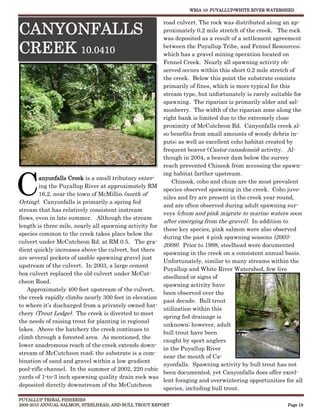 WRIA 10: PUYALLUP/WHITE RIVER WATERSHED


                                                       road culvert. The rock was distributed along an ap-
CANYONFALLS                                            proximately 0.2 mile stretch of the creek. The rock
                                                       was deposited as a result of a settlement agreement

CREEK 10.0410                                          between the Puyallup Tribe, and Fennel Resources;
                                                       which has a gravel mining operation located on
                                                       Fennel Creek. Nearly all spawning activity ob-
                                                       served occurs within this short 0.2 mile stretch of
                                                       the creek. Below this point the substrate consists
                                                       primarily of fines, which is more typical for this
                                                       stream type, but unfortunately is rarely suitable for
                                                       spawning. The riparian is primarily alder and sal-
                                                       monberry. The width of the riparian zone along the
                                                       right bank is limited due to the extremely close
                                                       proximity of McCutcheon Rd. Canyonfalls creek al-
                                                       so benefits from small amounts of woody debris in-
                                                       puts; as well as excellent coho habitat created by
                                                       frequent beaver (Castor canadensis) activity. Al-
                                                       though in 2004, a beaver dam below the survey
                                                       reach prevented Chinook from accessing the spawn-



C
                                                       ing habitat farther upstream.
        anyonfalls Creek is a small tributary enter-
                                                          Chinook, coho and chum are the most prevalent
        ing the Puyallup River at approximately RM
                                                       species observed spawning in the creek. Coho juve-
        16.2, near the town of McMillin (north of
                                                       niles and fry are present in the creek year round,
Orting). Canyonfalls is primarily a spring fed
                                                       and are often observed during adult spawning sur-
stream that has relatively consistent instream
                                                       veys (chum and pink migrate to marine waters soon
flows, even in late summer. Although the stream
                                                       after emerging from the gravel). In addition to
length is three mile, nearly all spawning activity for
                                                       these key species, pink salmon were also observed
species common to the creek takes place below the
                                                       during the past 4 pink spawning seasons (2003-
culvert under McCutcheon Rd. at RM 0.5. The gra-
                                                       2009). Prior to 1998, steelhead were documented
dient quickly increases above the culvert, but there
                                                       spawning in the creek on a consistent annual basis.
are several pockets of usable spawning gravel just
                                                       Unfortunately, similar to many streams within the
upstream of the culvert. In 2003, a large cement
                                                       Puyallup and White River Watershed, few live
box culvert replaced the old culvert under McCut-
                                                       steelhead or signs of
cheon Road.
                                                       spawning activity have
   Approximately 400 feet upstream of the culvert,
                                                       been observed over the
the creek rapidly climbs nearly 300 feet in elevation
                                                       past decade. Bull trout
to where it’s discharged from a privately owned hat-
                                                       utilization within this
chery (Trout Lodge). The creek is diverted to meet
                                                       spring fed drainage is
the needs of raising trout for planting in regional
                                                       unknown; however, adult
lakes. Above the hatchery the creek continues to
                                                       bull trout have been
climb through a forested area. As mentioned, the
                                                       caught by sport anglers
lower anadromous reach of the creek extends down-
                                                       in the Puyallup River
stream of McCutcheon road; the substrate is a com-
                                                       near the mouth of Ca-
bination of sand and gravel within a low gradient
                                                       nyonfalls. Spawning activity by bull trout has not
pool-rifle channel. In the summer of 2002, 220 cubic
                                                       been documented, yet Canyonfalls does offer excel-
yards of 1-to-3 inch spawning quality drain rock was
                                                       lent foraging and overwintering opportunities for all
deposited directly downstream of the McCutcheon
                                                       species, including bull trout.
PUYALLUP TRIBAL FISHERIES
2009-2010 ANNUAL SALMON, STEELHEAD, AND BULL TROUT REPORT                                             Page 19
 