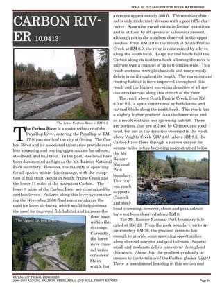WRIA 10: PUYALLUP/WHITE RIVER WATERSHED


                                                            averages approximately 300 ft. The resulting chan-

CARBON RIV-                                                 nel is only moderately diverse with a pool riffle cha-
                                                            racter. Spawning gravel exists in limited quantities


ER 10.0413
                                                            and is utilized by all species of salmonids present,
                                                            although not in the numbers observed in the upper
                                                            reaches. From RM 3.0 to the mouth of South Prairie
                                                            Creek at RM 6.0, the river is constrained by a levee
                                                            along the south bank. Large natural bluffs hold the
                                                            Carbon along its northern bank allowing the river to
                                                            migrate over a channel of up to 0.5 miles wide. This
                                                            reach contains multiple channels and many woody
                                                            debris jams throughout its length. The spawning and
                                                            rearing habitat is more improved throughout this
                                                            reach and the highest spawning densities of all spe-
                                                            cies are observed along this stretch of the river.
                                                               The reach above South Prairie Creek, from RM
                                                            6.0 to 8.5, is again constrained by both levees and
                                                            natural bluffs along the north bank. This reach has
                                                            a slightly higher gradient than the lower river and
                                                            as a result contains less spawning habitat. There
                           The lower Carbon River @ RM 8.5




T
                                                            are portions that are utilized by Chinook and steel-
         he Carbon River is a major tributary of the
                                                            head, but not in the densities observed in the reach
         Puyallup River, entering the Puyallup at RM
                                                            above Voights Creek (RM 4.0). Above RM 8.5, the
         17.9; just north of the city of Orting. The Car-
                                                            Carbon River flows through a narrow canyon for
bon River and its associated tributaries provide excel-
                                                            several miles before becoming unconstrained below
lent spawning and rearing opportunities for salmon,
                                                            the Mt.
steelhead, and bull trout. In the past, steelhead have
                                                            Rainier
been documented as high as the Mt. Rainier National
                                                            National
Park boundary. However, the majority of spawning
                                                            Park
for all species within this drainage, with the excep-
                                                            boundary.
tion of bull trout, occurs in South Prairie Creek and
                                                            This can-
the lower 11 miles of the mainstem Carbon. The
                                                            yon reach
lower 3 miles of the Carbon River are constrained by
                                                            supports
earthen levees. Failures along this levee system dur-
                                                            Chinook
ing the November 2006 flood event reinforces the
                                                            and steel-
need for levee set-backs, which would help address
                                                            head spawning, however, chum and pink salmon
the need for improved fish habitat and increase the
                                                            have not been observed above RM 8.
                                                flood basin
  The Upper Carbon River                                        The Mt. Rainier National Park boundary is lo-
                                                within this
                                                            cated at RM 23. From the park boundary, up to ap-
                                               drainage.
                                                            proximately RM 26, the gradient remains low
                                               Currently,
                                                            enough to provide some spawning opportunities
                                               the lower
                                                            along channel margins and pool tail-outs. Several
                                               river chan-
                                                            small and moderate debris jams occur throughout
                                               nel varies
                                                            this reach. Above this, the gradient gradually in-
                                               considera-
                                                            creases to the terminus of the Carbon glacier (right).
                                               bly in
                                                            There is less channel braiding in this section and
                                               width, but

PUYALLUP TRIBAL FISHERIES
2009-2010 ANNUAL SALMON, STEELHEAD, AND BULL TROUT REPORT                                                 Page 24
 