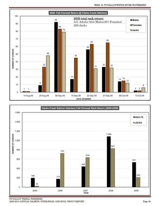 WRIA 10: PUYALLUP/WHITE RIVER WATERSHED


                                                                  2009 Fall Chinook Return @ Clarks Creek Hatchery
                      100
                                                                      92
                                                                                            2009 total rack return:                                    Males
                                                                                            531 Adults (224 Males/307 Females)
                       90
                                                                           83
                                                                                            208 Jacks                                                  Females
                                                                                  79                                                                   Jacks
                       80


                       70
                                                                                                                               65
                                                                                                               63

                       60                                                                                56
  NUMBER OF CHINOOK




                       50                                    48
                                                                                            45

                       40
                                                        33                                                                33        32
                                                                                                                    31
                       30


                       20                                                              17
                                                                                                                                          14 15
                                                                                                                                                  12
                                                   9
                       10                                                                                                                                          6
                                1   1                                                                                                                    2     2
                       0
                                14-Aug-09          25-Aug-09          08-Sep-09        15-Sep-09         22-Sep-09        27-Sep-09       06-Oct-09      13-Oct-09
                                                                                             DATE SPAWNED




                                                       Clarks Creek Salmon Hatchery Fall Chinook Rack Return (2005-2009)
                      1,600

                                                                                                                                                         ADULTS

                      1,400                                                                                                                              JACKS


                      1,200
                                                                                                                               1,084
  NUMBER OF CHINOOK




                      1,000

                                                                                                                                    827
                       800
                                                                             723
                                                                                                         634
                       600                                                                                                                             531

                                                                                                   440
                       400


                                        195                                                                                                                  208
                                                                       174
                       200

                                              22
                            0
                                         2005                              2006                     2007                         2008                   2009
                                                                                                    YEAR


PUYALLUP TRIBAL FISHERIES
2009-2010 ANNUAL SALMON, STEELHEAD, AND BULL TROUT REPORT                                                                                                          Page 35
 