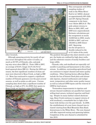 WRIA 10: PUYALLUP/WHITE RIVER WATERSHED


                                                                                This corresponds with DNA
                                                                                sampling studies of
                                                                                nook in the White River;
                                                                                Ford et al. (2004), showed
                                                                                an approximately 60% falls
                                                                                and 40% Spring Chinook
                                                                                component in the lower
                                                                                river (below RM 24.3). The
                                                                                pink salmon returns to
                                                                                Boise in 2005, 2007, and
                                                                                2009 were unprecedented.
                                                                                Estimate calculations put
                                                                                the escapement at nearly
                                                                                16,000 fish in 2005, nearly
                                                                                28,000 in 2007, and over
                                                                                100,000 in 2009 (lower
                                                                                left). Spawning
                                                                                ties for all species is
                                                                                derably reduced in the
                                                                                er 0.3 miles of the creek.
other livestock.                                       The gradient throughout this short stretch is stee-
   Although spawning activity for nearly all spe-      per, the banks are confined by high sheer walls,
cies occurs throughout the entire 4.5 miles, as        and the substrate consists of mostly boulders and
much as 65-70% of Chinook, coho, and pink              large cobble.
ing may occur above RM 2.2. From 1999 to 2007,            Chinook, coho, and steelhead are especially vul-
an average of 63.8% (range 53.5%-83.3%) of             nerable to poaching and harassment in this urban
head spawned above RM 2.2. During the 2005 sea-        stream. In addition, surrounding agricultural land
season, the first significant numbers of chum sal-     use continues to impact channel and water quality
mon were observed in Boise Creek, as high as RM        conditions. Other limiting factors affecting Boise
1.5. Boise has continued to support a significant      include the loss of historic flood plain and stream-
number of Chinook spawners over the past several       side riparian, channel confinement and realign-
seasons, as well as pinks on odd years. Carcass        ment, temperature and other water quality issues;
sampling data shows that a significant number of       as well as reduced LWD inputs and the removal of
Chinook, as high as 67% (in 2009), that spawn in       LWD by land owners.
Boise Creek are hatchery origin Fall Chinook.              Tremendous improvements to riparian and
                                                       stream channel conditions are possible but require
 Pink salmon in upper Boise
                                                       willing land owners, technical expertise and fund-
                                                       ing. Despite its many habitat related shortcom-
                                                       ings, Boise Creek continues to support returns of
                                                       wild steelhead, a remarkable fact in light of the
                                                       basin-wide decline over the past decade. In 2009,
                                                       the establishment of a new lower channel was in-
                                                       itiated; starting from Mud Mountain Dam Road,
                                                       downstream to the White River. The new channel
                                                       will offer improved rearing and spawning habitat.
                                                       Completion of the new channel is scheduled for
                                                       late 2010.
PUYALLUP TRIBAL FISHERIES
2009-2010 ANNUAL SALMON, STEELHEAD, AND BULL TROUT REPORT                                             Page 4
 