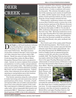WRIA 10: PUYALLUP/WHITE RIVER WATERSHED


                                                       increase in gradient, flow velocities, and the lack of

DEER                                                   suitable spawning substrate (right). The gradient
                                                       along the lower 1.2 miles is moderate with numer-
                                                       ous deep pools. The substrate throughout a great

CREEK                      10.0865                     deal of this spawning reach consists of small bould-
                                                       ers, cobble, and flat angular stone; though, several
                                                       pockets of good spawning medium are often located
                                                       along the stream margins and pool tail-outs.
                                                           Unfortunately, anadromous salmon were unable
                                                       to access Deer Creek for nearly a century due to the
                                                       streams location upstream of the Electron diversion
                                                       dam on the Puyallup River. With the completion of
                                                       the Electron fish ladder (@ RM 41.7) in the fall of
                                                       2000, anadromous fish passage was restored for the
                                                       first time since 1904. Restoring anadromous access
                                                       to the upper Puyallup River has made approximate-
                                                       ly 26+ miles of spawning, rearing, and foraging ha-
                                                       bitat above the diversion available for several spe-
                                                       cies, including Chinook, coho, pink, steelhead, and
                                                       bull trout.
                                                           Deer Creek is part of the surplus adult Chinook



D
         eer Creek is a left bank headwater tributary and coho planting program. Deer Creek is one of
         to the Puyallup River; entering the upper     the few streams in late summer and early fall with
         Puyallup at mile 45.7, approximately 0.6      adequate water flow to plant adult Chinook. Sur-
miles below Swift Creek. This high mountain            plus adult Chinook from the WDFW hatchery lo-
stream flows northwest through a steep narrow gla- cated on Voights Creek are planted during late
cial valley along the lower western slope of Mt.       summer to early fall, and coho in late fall when
Rainier. Nearly the entire 6.5 miles of the Deer       available (left). The Puyallup Tribe has been haul-
Creek drainage flows within the Mount Baker-           ing surplus adults from Voights Creek and planting
Snoqualmie National Forest and is non-glacial in       them in the upper Puyallup Watershed since1997;
origin. Instead, its sources originate from snowpack unfortunately no natural returns of Chinook or coho
accumulations; as well as surface and groundwater have been documented in Deer Creek as a result of
from the surrounding valley. The additional surface these efforts. However, natural returns of adult co-
water sources consist of three tributaries including   ho have occurred in
Big Creek, and two unnamed tributaries. Unfortu- Rushingwater, Cow
nately, these tributaries do not add any beneficial    Skull, Niesson, and
spawning or rearing habitat given their locations      Kellog creeks. Deer
well above natural anadromous barriers.                Creek is not sur-
    Past forestry operations along the creek; primari- veyed regularly; ra-
ly timber harvesting and road construction, had im- ther, it is spot
pacted portions of the stream. Currently, a benefi-    checked to see how
cial riparian buffer zone of conifers and mixed deci- successful the adult plants were. The creek does; on
duous trees exists along the majority of the creek.    the other hand, have a resident population of cutth-
The creek channel is confined by moderate to steep     roat trout. It is also suspected that bull trout may
valley walls, with an impassable falls located at ap- be present, since they are known to populate the
proximately RM 2.7. Spawning is significantly re-      Mowich River and upper Puyallup; however, bull
duced upstream of RM 1.2 due to the substantial        trout utilization is unknown, but presumed.
PUYALLUP TRIBAL FISHERIES
2009-2010 ANNUAL SALMON, STEELHEAD, AND BULL TROUT REPORT                                              Page 51
 