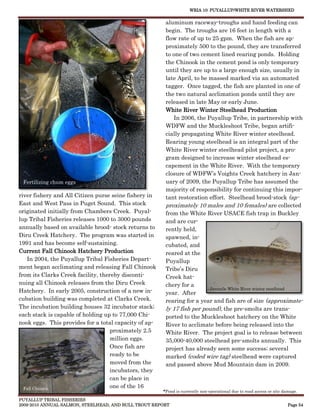 WRIA 10: PUYALLUP/WHITE RIVER WATERSHED


                                                        aluminum raceway-troughs and hand feeding can
                                                        begin. The troughs are 16 feet in length with a
                                                        flow rate of up to 25 gpm. When the fish are ap-
                                                        proximately 500 to the pound, they are transferred
                                                        to one of two cement lined rearing ponds. Holding
                                                        the Chinook in the cement pond is only temporary
                                                        until they are up to a large enough size, usually in
                                                        late April, to be massed marked via an automated
                                                        tagger. Once tagged, the fish are planted in one of
                                                        the two natural acclimation ponds until they are
                                                        released in late May or early June.
                                                        White River Winter Steelhead Production
                                                           In 2006, the Puyallup Tribe, in partnership with
                                                        WDFW and the Muckleshoot Tribe, began artifi-
                                                        cially propagating White River winter steelhead.
                                                        Rearing young steelhead is an integral part of the
                                                        White River winter steelhead pilot project, a pro-
                                                        gram designed to increase winter steelhead es-
                                                        capement in the White River. With the temporary
                                                        closure of WDFW’s Voights Creek hatchery in Jan-
 Fertilizing chum eggs                                  uary of 2009, the Puyallup Tribe has assumed the
                                                        majority of responsibility for continuing this impor-
river fishery and All Citizen purse seine fishery in    tant restoration effort. Steelhead brood-stock (ap-
East and West Pass in Puget Sound. This stock           proximately 10 males and 10 females) are collected
originated initially from Chambers Creek. Puyal-        from the White River USACE fish trap in Buckley
lup Tribal Fisheries releases 1000 to 3000 pounds       and are cur-
annually based on available brood- stock returns to     rently held,
Diru Creek Hatchery. The program was started in         spawned, in-
1991 and has become self-sustaining.                    cubated, and
Current Fall Chinook Hatchery Production                reared at the
   In 2004, the Puyallup Tribal Fisheries Depart-       Puyallup
ment began acclimating and releasing Fall Chinook       Tribe’s Diru
from its Clarks Creek facility, thereby disconti-       Creek hat-
nuing all Chinook releases from the Diru Creek          chery for a
                                                                          Juvenile White River winter steelhead
Hatchery. In early 2005, construction of a new in-      year. After
cubation building was completed at Clarks Creek.        rearing for a year and fish are of size (approximate-
The incubation building houses 32 incubator stack;      ly 17 fish per pound), the pre-smolts are trans-
each stack is capable of holding up to 77,000 Chi-      ported to the Muckleshoot hatchery on the White
nook eggs. This provides for a total capacity of ap-    River to acclimate before being released into the
                                    proximately 2.5     White River. The project goal is to release between
                                    million eggs.       35,000-40,000 steelhead pre-smolts annually. This
                                    Once fish are       project has already seen some success; several
                                    ready to be         marked (coded wire tag) steelhead were captured
                                    moved from the      and passed above Mud Mountain dam in 2009.
                                    incubators, they
                                    can be place in
  Fall Chinook                      one of the 16
                                                       *Pond is currently non-operational due to road access or site damage.

PUYALLUP TRIBAL FISHERIES
2009-2010 ANNUAL SALMON, STEELHEAD, AND BULL TROUT REPORT                                                              Page 54
 