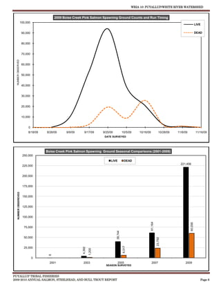WRIA 10: PUYALLUP/WHITE RIVER WATERSHED


                                          2009 Boise Creek Pink Salmon Spawning Ground Counts and Run Timing
                    100,000
                                                                                                                                                              LIVE

                       90,000                                                                                                                                 DEAD


                       80,000


                       70,000
  NUMBER OBSERVED




                       60,000


                       50,000


                       40,000


                       30,000


                       20,000


                       10,000


                           0
                           8/18/09   8/28/09     9/9/09     9/17/09       9/25/09            10/5/09     10/16/09               10/28/09   11/6/09            11/16/09
                                                                           DATE SURVEYED




                                     Boise Creek Pink Salmon Spawning Ground Seasonal Comparisons (2001-2009)
                       250,000
                                                                               LIVE            DEAD
                                                                                                                                             221,456
                       225,000


                       200,000


                       175,000
    NUMBER OBSEREVED




                       150,000


                       125,000


                       100,000
                                                                                                                    61,164




                                                                                                                                                     60,058




                        75,000
                                                                                    39,744




                        50,000
                                                                                                                             23,750
                                                                                             6,517




                        25,000
                                                          4,392
                                                                  1,200
                                      6




                                0
                                       2001                2003                       2005                           2007                       2009
                                                                            SEASON SURVEYED



PUYALLUP TRIBAL FISHERIES
2009-2010 ANNUAL SALMON, STEELHEAD, AND BULL TROUT REPORT                                                                                                        Page 6
 