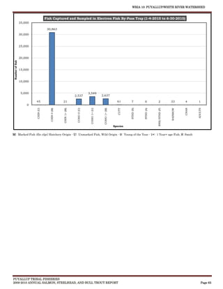 WRIA 10: PUYALLUP/WHITE RIVER WATERSHED


                                      Fish Captured and Sampled in Electron Fish By-Pass Trap (1-4-2010 to 6-30-2010)
                  35,000

                                       30,863
                  30,000


                  25,000


                  20,000
 Number of fish




                  15,000


                  10,000


                   5,000                                                          3,549
                                                                    2,537                        2,637

                           45                         21                                                          61       7          0           2            33        4       1
                      0



                                                                                                                   CUTT




                                                                                                                          STHD (S)
                                                                                   COHO 1+ (U)




                                                                                                                                                RNB/STHD (F)
                                                                                                  COHO 1+ (M)




                                                                                                                                                                         CHAR
                                         CHIN 0 (M)




                                                                     COHO 0 (U)




                                                                                                                                     STHD (A)




                                                                                                                                                                                ADULTS
                           CHIN (U)




                                                                                                                                                               RAINBOW
                                                      CHIN 1+ (M)




                                                                                                                Species


M: Marked Fish (fin clip), Hatchery Origin - U: Unmarked Fish, Wild Origin - 0: Young of the Year - 1+: 1 Year+ age Fish, S: Smolt




PUYALLUP TRIBAL FISHERIES
2009-2010 ANNUAL SALMON, STEELHEAD, AND BULL TROUT REPORT                                                                                                                           Page 63
 