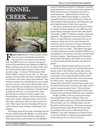 WRIA 10: PUYALLUP/WHITE RIVER WATERSHED


                                                      channel containing excellent, if somewhat unstable

FENNEL                                                spawning gravels; as well as much lower amounts of
                                                      LWD and less channel complexity then what is
                                                      found upstream. Approximately 0.2 miles up-

CREEK 10.0406                                         stream of the McCutcheon Bridge is a short run
                                                      spring fed tributary, Fennel Tributary, which con-
                                                      tains excellent spawning gravel and frequently sup-
                                                      ports high densities of adult chum spawners.
                                                          The upper anadromous reach of Fennel Creek is
                                                      a complex, moderate gradient, pool-riffle/step-pool
                                                      stream flowing through a broad valley (left photo).
                                                      Victor falls, at RM 1.9, blocks any further upstream
                                                      migration. The riparian zone is well intact due to
                                                      little or no agricultural or residential land use de-
                                                      velopment along most of the creek channel; the
                                                      overstory riparian consists of a mature hardwood
                                                      and conifer forest with a dense understory of sal-
                                                      monberry and vine maple. Throughout the upper
                                                      1.5 mile anadromous stretch, abundant LWD lies in



F
                                                      and adjacent to the channel; as well as several small
        ennel Creek (Kelly Cr.) flows nearly 8 miles
                                                      in-stream logjams. Spawning gravel is abundant
        from its source of wetlands and lowland
                                                      and excellent throughout this reach, as are numer-
        lakes located on the plateau near Bonney
                                                      ous deep resting pools for juveniles and adult mi-
Lake and HWY 410; to its eventual convergence
                                                      grants.
with the Puyallup River near Alderton at RM 15.5.
                                                           Uniquely, Fennel Creek experiences an early
With a drainage area of over 6.5 square miles, Fen-
                                                      run of chum salmon each year; with fish often enter-
nel Creek provides approximately 2 miles of ana-
                                                      ing the creek in late October, nearly three weeks
dromous usage. A natural 100 foot barrier falls
                                                      earlier than most lower Puyallup tributaries. Also
(Victor Falls) is located at river mile 1.9. The ana-
                                                      noteworthy, is the unprecedented number of Chi-
dromous reach provides abundant suitable habitat
                                                      nook adults observed spawning in the creek during
for Chinook, coho, pink, chum, and steelhead. Pink
                                                      the 2007 season. Although carcass sampling
and chum salmon are undoubtedly the most prolific
                                                      showed that around 85% were hatchery origin; over
species to spawn in the creek; unfortunately, steel-
                                                      150 adult Chinook were counted in the creek, dwarf-
head escapement has dropped precipitously over the
                                                      ing the average seasonal count. Coho and chum
past decade. Bull trout utilization in Fennel Creek
                                                      seasonal totals on the following pages include both
is unknown; however, it is assumed that Adult
                                                      Fennel Creek, and Fennel Tributary data combined.
fluvial bull trout which are often caught in the
                                                          In May of 2009, a 9.75-acre land conservation
Puyallup River near Fennel, and are known to fo-
                                                      area along Fennel Creek in Bonney Lake was
rage in the smaller tributaries of the lower Puyal-
                                                      created through a cooperative partnership between
lup, likely exploit prey species in Fennel Creek as
                                                      Pierce County, the City of Bonney Lake, and the
well. Other species present throughout Fennel in-
                                                      Cascade Land Conservancy. The land conservancy
clude cutthroat trout, sculpins, sticklebacks, and
                                                      will protect habitat along Fennel Creek and will
lamprey.
                                                      eventually be the location of the Fennel Creek
    The lowest reach of the creek, extending from the
                                                      Trailhead. For more information on Fennel Creek,
mouth to McCutcheon Rd. Bridge (0.3 miles), flows
                                                      or if you would like to support preservation efforts
primarily within the Puyallup River flood plain.
                                                      on the creek, go to www.fennelcreek.org.
This section of the creek consists of a low gradient

PUYALLUP TRIBAL FISHERIES
2009-2010 ANNUAL SALMON, STEELHEAD, AND BULL TROUT REPORT                                            Page 64
 